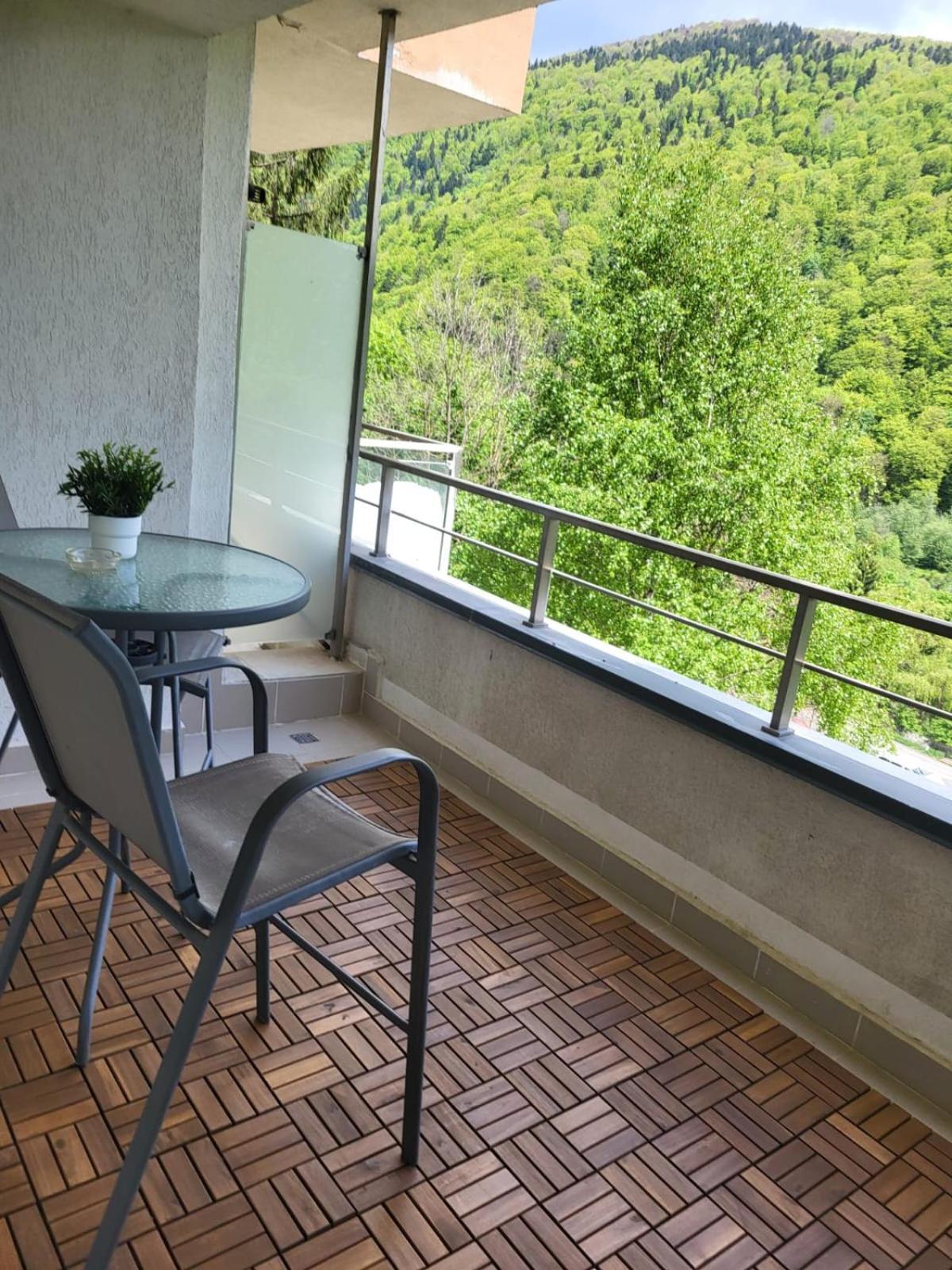 Blue Forest Studio Sinaia Exterior foto